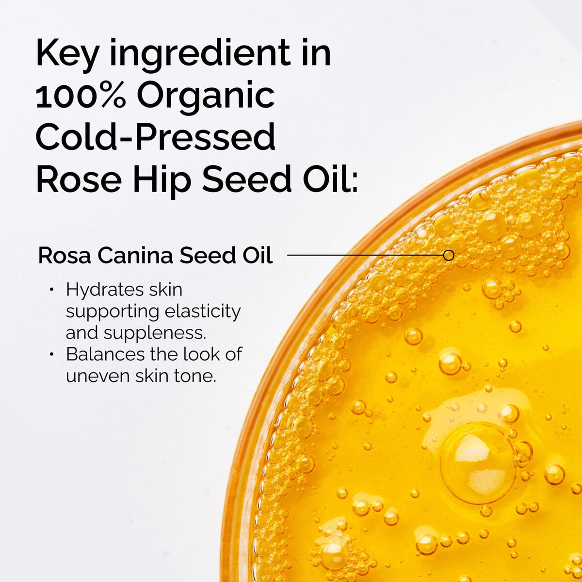100-organic-cold-pressed-rose-hip-seed-oil-o0 FY25-D41247-ORD-Web-PDP-100-Rose-Hip-Oil-1x1-EN-2.jpg