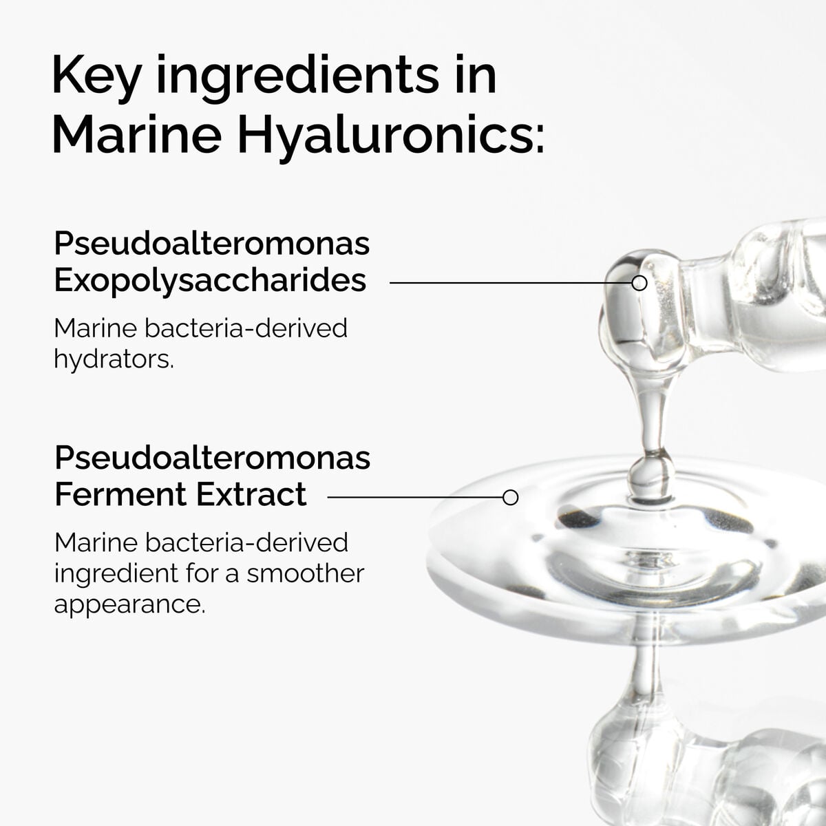 marine-hyaluronics-q3 FY25-D41247-ORD-Web-PDP-Marine-Hya-1x1-EN-2a.jpg